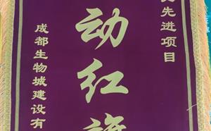 熱烈祝賀人才公寓項目獲得質(zhì)量、安全雙“流動紅旗”