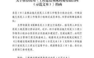 《工程建設(shè)領(lǐng)域簡(jiǎn)易勞動(dòng)合同（示范文本）》